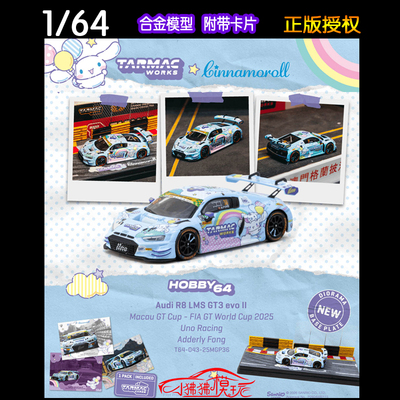 TW奥迪R8LMSGT3EVOII汽车模型