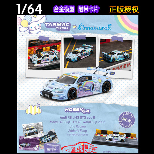 TW奥迪R8LMSGT3EVOII汽车模型