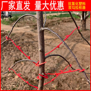 果树幼苗拉枝器双钩塑料拉枝器主干型拉枝器开角器双勾压枝定型器