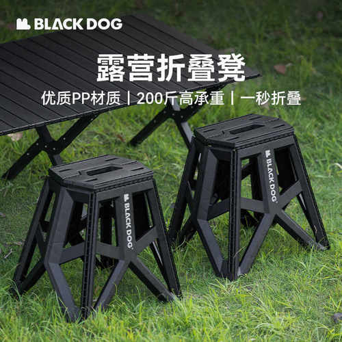 露营排队便携沙滩椅Blackdog
