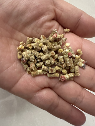 自制款鹦鹉滋养丸挑食鹦鹉专用鹦鹉增肥专用