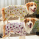透气防晒防掉毛 新款 大狗狗宠物猫咪衣服用品四脚衣四腿裤 子春夏装