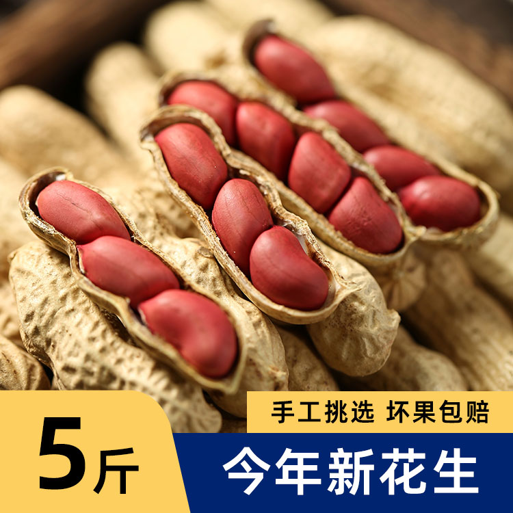 24年红皮生花生带壳新鲜晒干新货