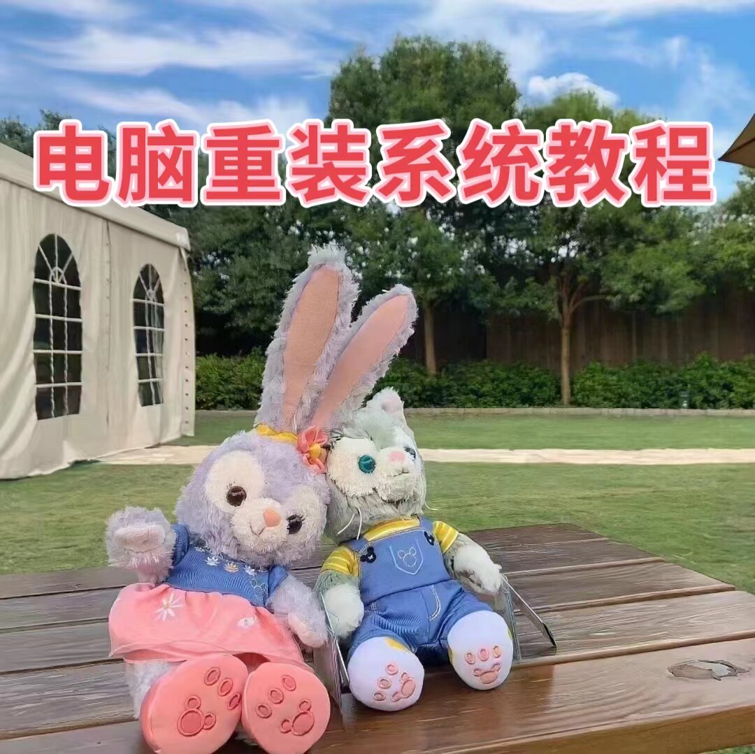 电脑重装系统 网盘自提 自动发货怎么样,好用不?