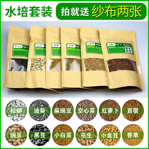 水培蔬菜芽苗菜种菜无土栽培菜籽