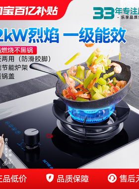 森太T23燃气灶单灶家用 煤气灶单个炉具天然气液化气嵌入式台式