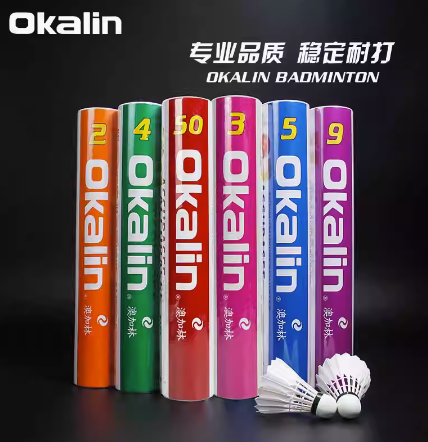 威健/澳加林AC50AC5羽毛球