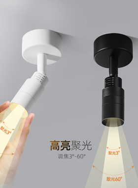 一束聚光迷你小射灯明装可调变焦3~60°小角度餐厅玄关氛围筒灯