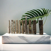 香槟木香槟树杆树枝水下森林鱼缸造景雨林缸爬宠垫脚宠物晒台天然