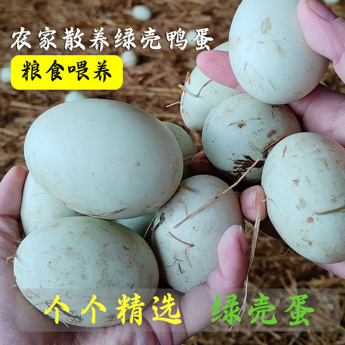 四川农家散养粮食土鸭蛋绿壳鸭蛋