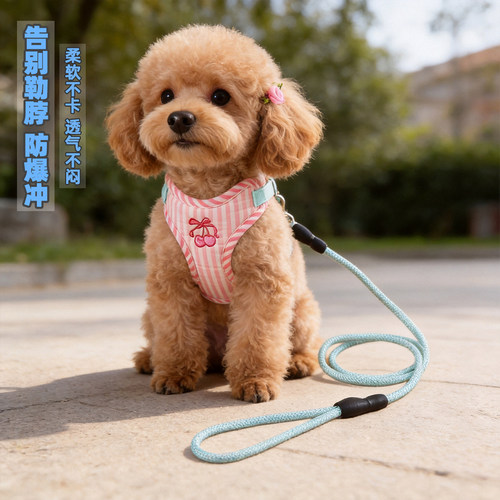 宠物狗狗牵引绳胸背带泰迪比熊背心式小型犬狗绳防挣脱遛狗绳狗链