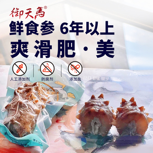 鲜蒸食海参5斤非水煮营养好大连底播野生鲜即食刺参非干货礼盒
