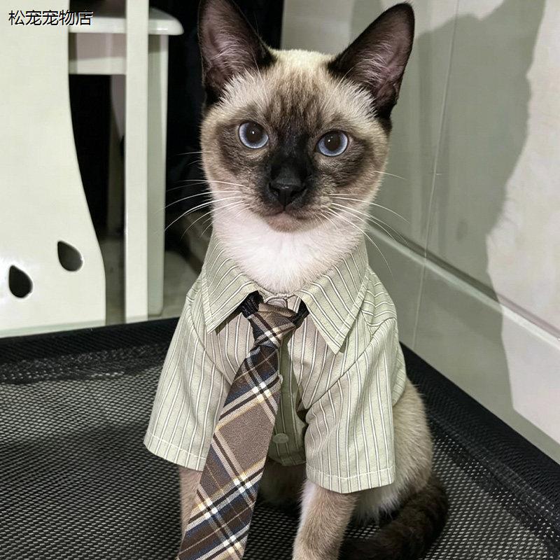 √泰国猫衣服配饰春夏季天新款公猫咪帅气外出服薄衬衫领带外出拍