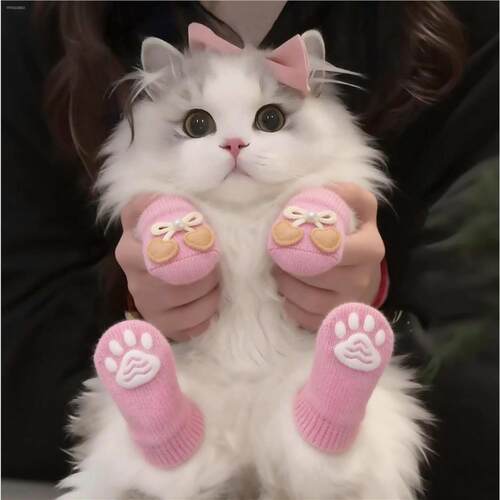 √猫咪袜子防滑防脏保暖
