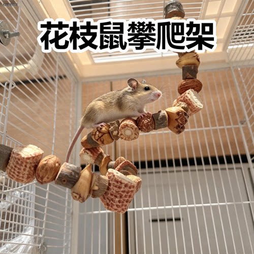 花枝鼠攀爬架造景装饰益
