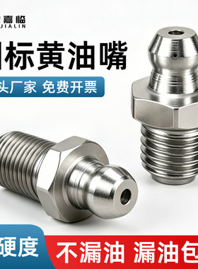 国标304不锈钢黄油嘴M10嘴头挖机货车新型黄油加注嘴大全挖掘机咀