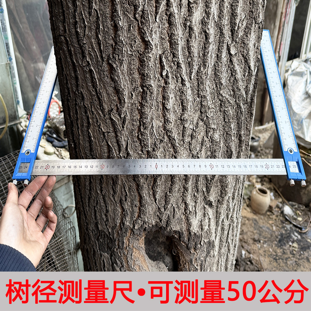 量树神器胸径测树尺树木直径测量尺树围尺园林量树卡尺不锈钢卡尺