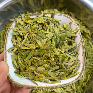 龙井2025年新茶杭州明前龙井绿茶 高山老茶树群体种 板栗豆香春茶