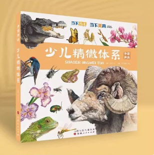 争霸美育少儿精微体系当下少儿2023零基础入门素描色彩水彩学生绘本书