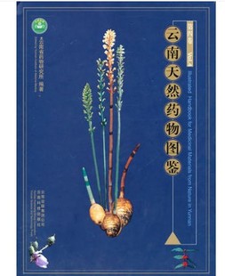 云南天然药物图鉴(第四卷) 一把篾一点血一点纤一滴血 七叶一枝花七姊妹八月春人参九子连环草九层风九牯牛