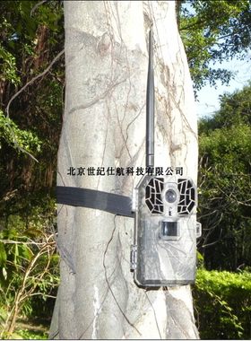 千里拍夜鹰手机远程控制无线图传红外夜视自动监测仪DTC-999M