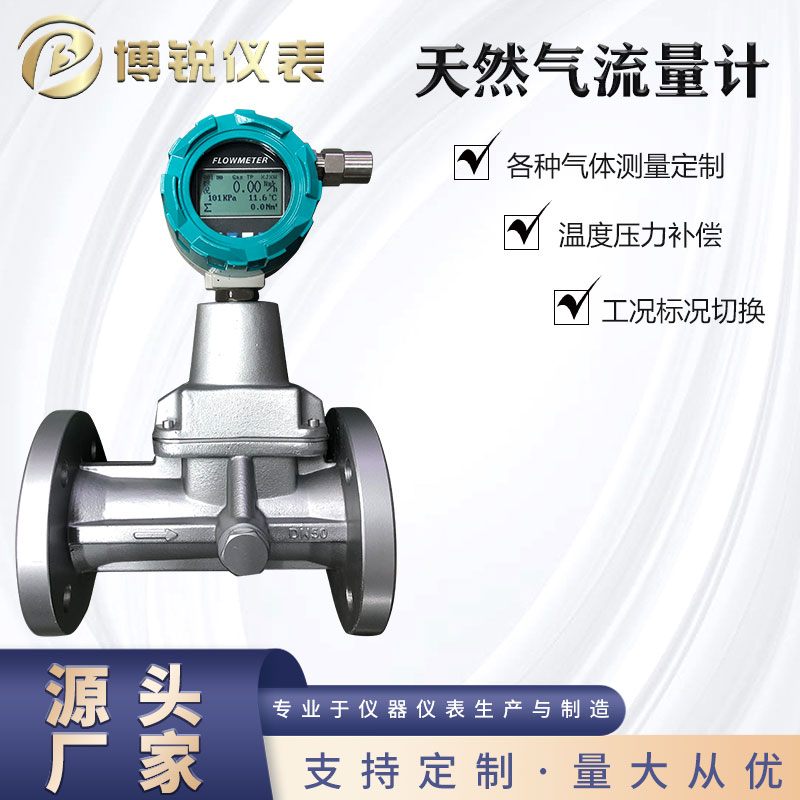 博锐旋进旋涡流量计气体流量计