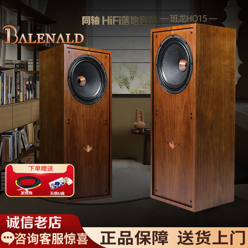 班龙HiFi高保真同轴落地音箱