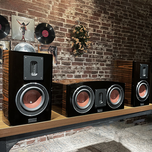 Balenald班龙238中置环绕音箱hifi发烧音响进口工艺家庭影院影院