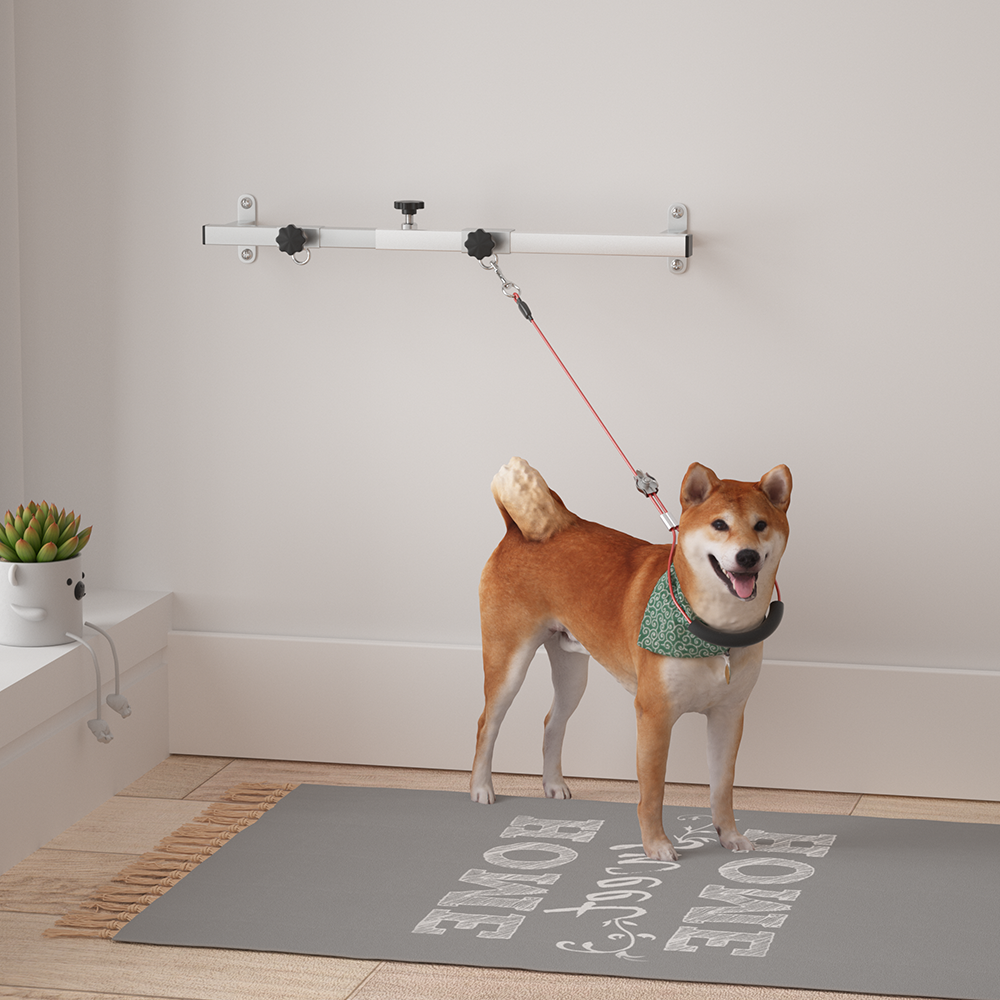 狗狗友好墙面吊杆宠物保定栓绑桩地桩店家大狗拴狗钉地桩墙面看护