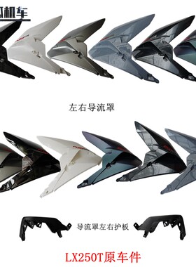 无极SR250GT导流罩左右护板