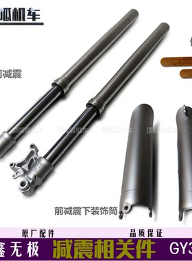 隆鑫LX300GY-D前减震无极GY300前减震下装饰筒侧光片原车配件