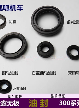 无极300AC/300R/300RR油封CR6前减震油封YF300变挡轴副轴油封原车