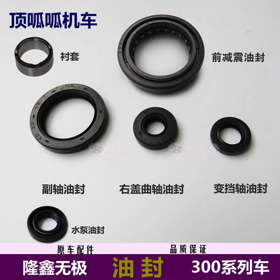 无极300ac/300r/300rrcr6油封