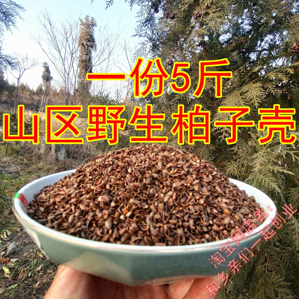 野生柏籽壳柏壳子枕芯填充柏子仁壳散装枕芯侧柏壳中药枕植物枕芯