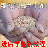 山东汶上县野生柏子仁柏籽仁柏实树仁无硫侧柏树柏子肉新货中药材