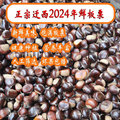 千禧吉河北迁西遵化板栗坏果包赔野生带壳板栗新鲜栗子粉糯易剥皮