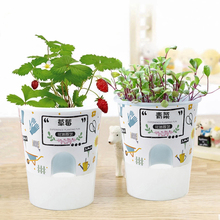 小花农开心农场创意迷你盆栽罐头花卉植物种子幼儿园儿童DIY种植