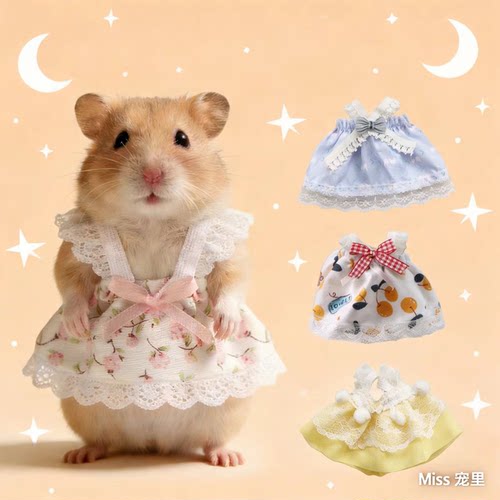 仓鼠衣服四季通用服装裙子小宠物毛线衣金丝熊荷兰猪花枝鼠服饰