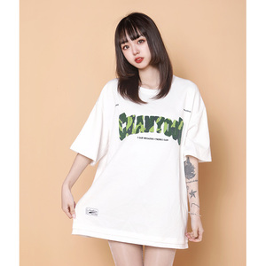204-T62-P30 中性蓝墙美式毛巾刺绣短袖T恤女生ins圆领假两件半袖图片