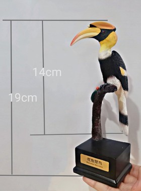 鸟类教具自然树脂模型原创定制