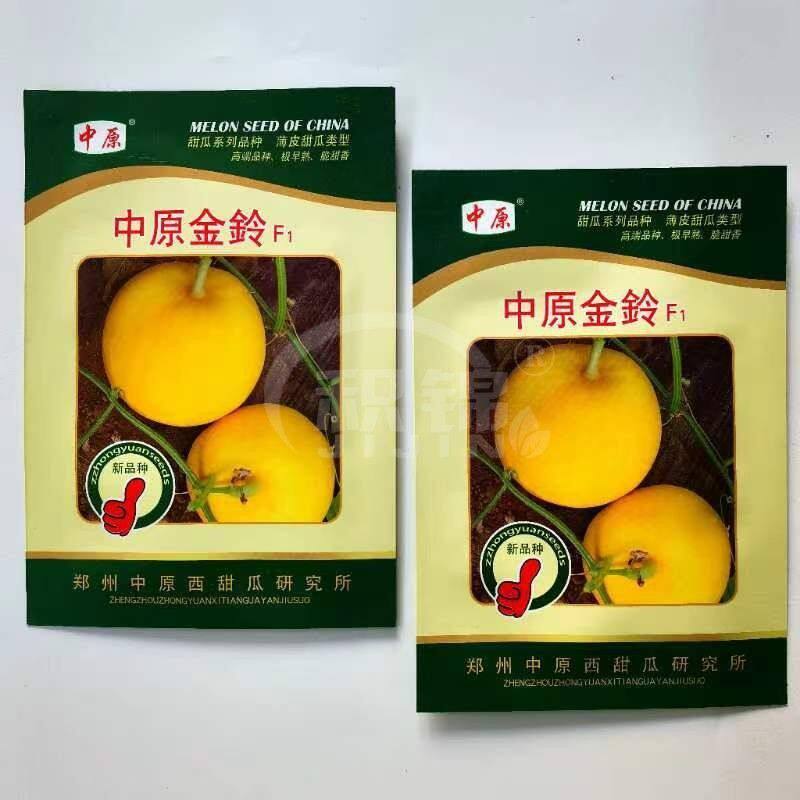 中原金玲甜瓜种子新育成的杂交早熟品种色泽金黄肉质甜脆香味浓郁