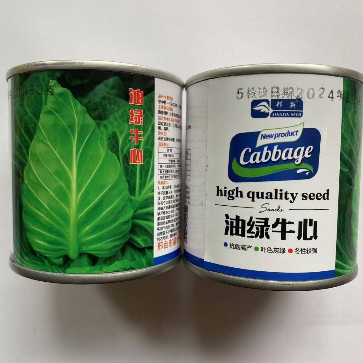 油绿牛心甘蓝种子中早熟杂交一代叶色深胖尖型牛心甘蓝春秋季种植
