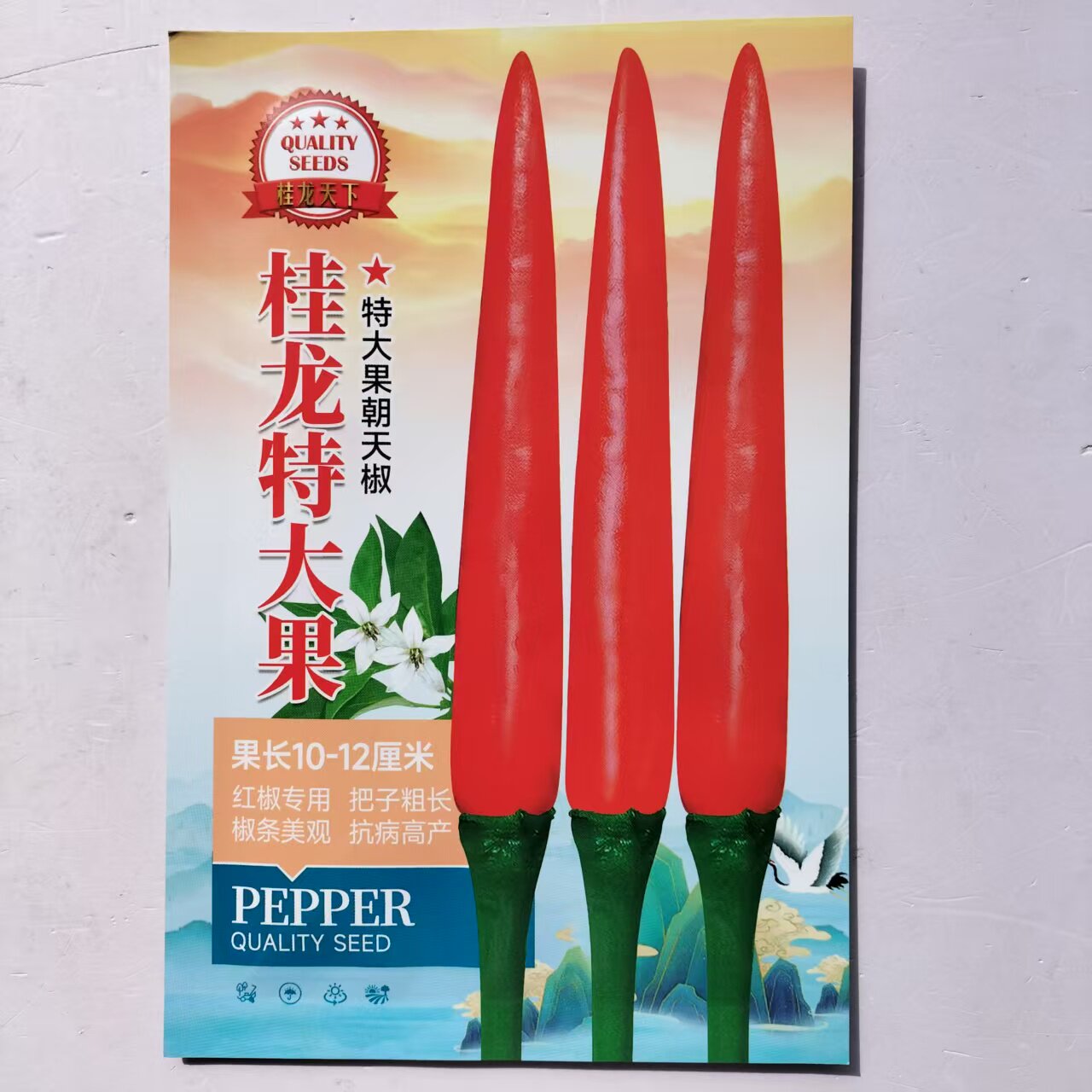 桂龙特大果朝天椒种子杂交大果单生朝天椒种籽辣味香浓春秋播种