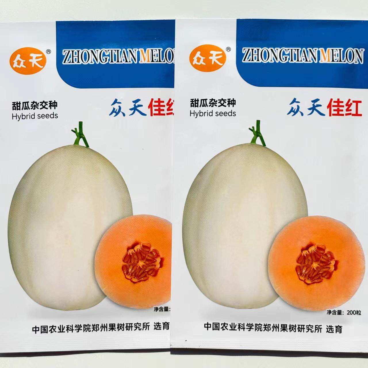 众天佳红甜瓜种子中熟厚皮香瓜种子四季白皮杂交甜瓜脆甜高产抗病