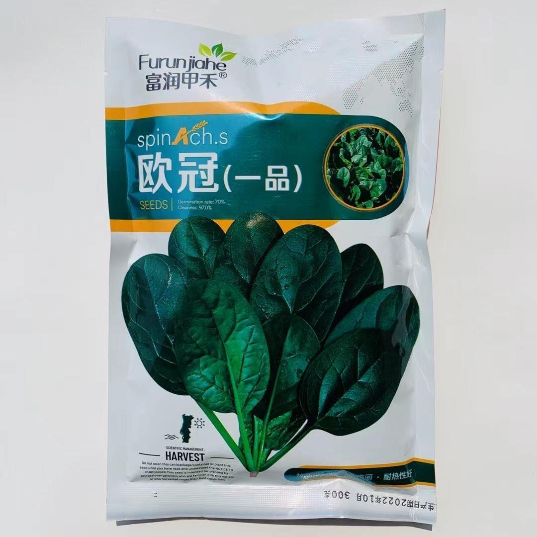 春秋菠菜种子一代纯欧冠