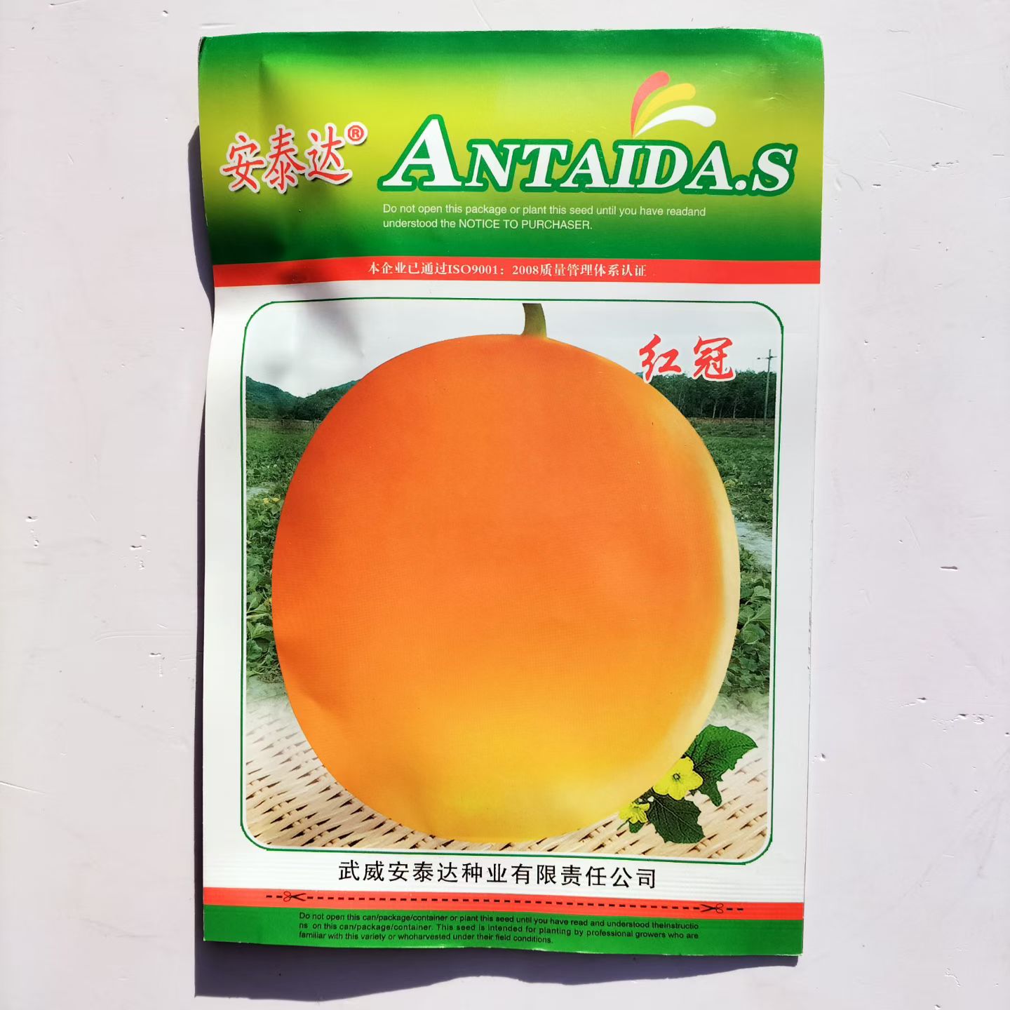 红冠甜瓜种子金红皮橘红肉薄皮香瓜苗子抗病早熟超甜香玉姑哈密瓜