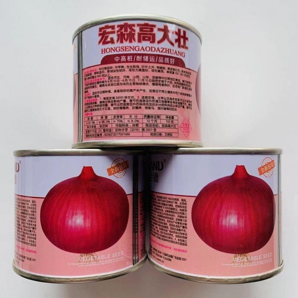 欧兰德宏森高大壮洋葱种子脆甜辣味适中紫红皮洋葱种籽中日照品种