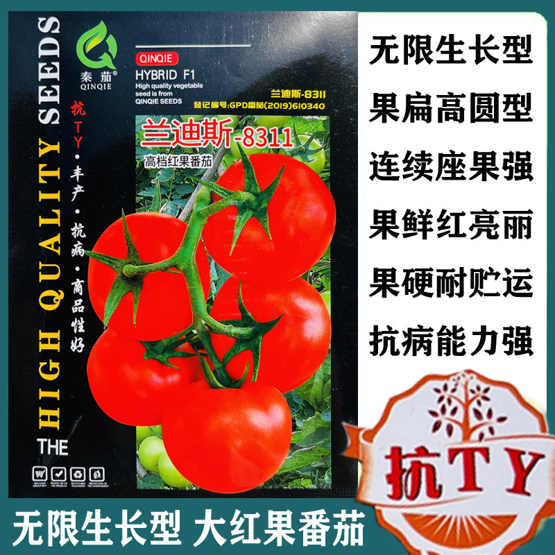 兰迪斯西红柿种孑进口耐热耐涝耐裂果四季种植高抗病毒番茄种子