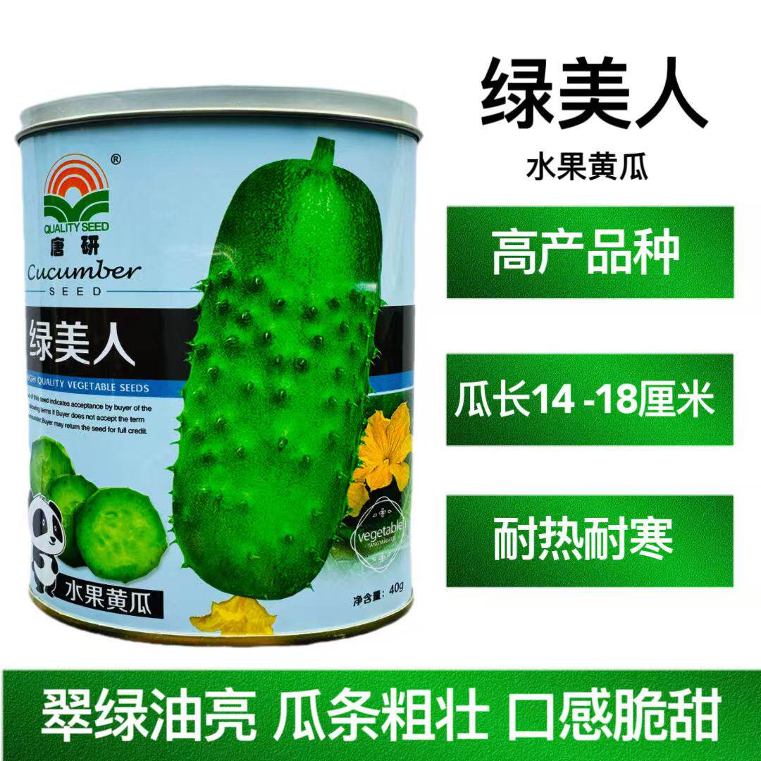 唐研绿美人水果黄瓜种子早熟短棒型皮薄短把白刺口感脆嫩春秋种植