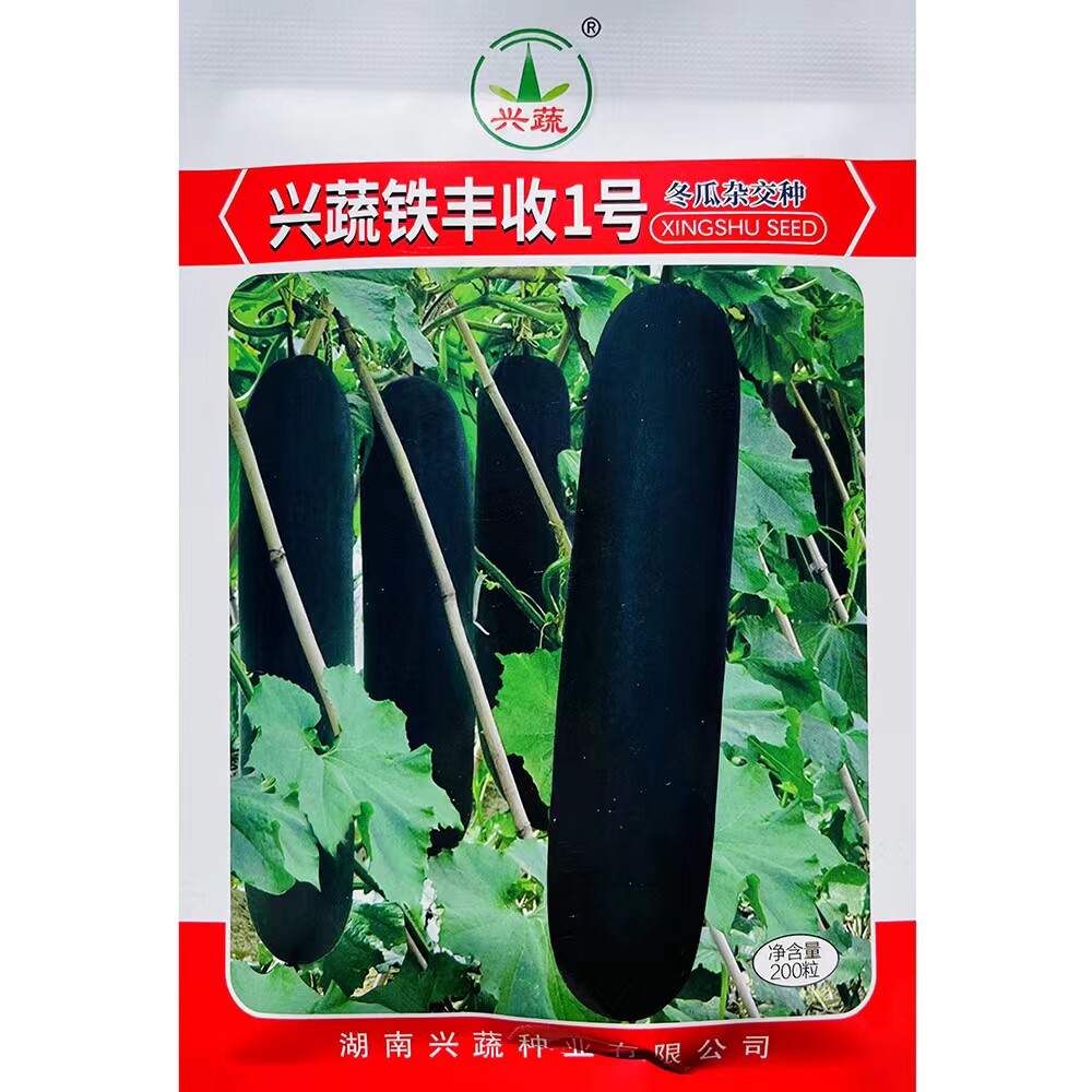 兴蔬铁丰收1号冬瓜种子墨绿色长圆柱形杂交冬瓜种籽空腔小耐贮运